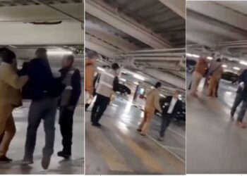 Wblester Santiago Pineda