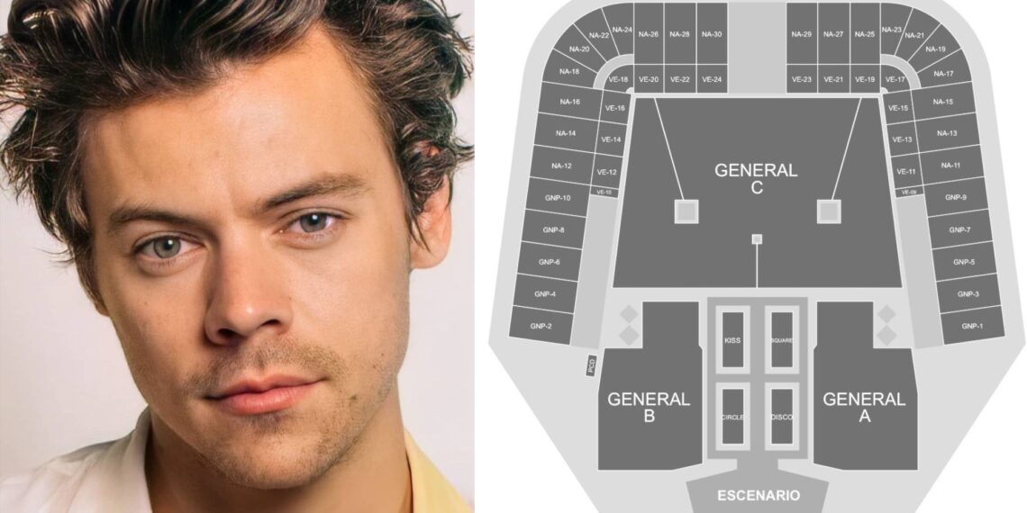 Conoce el mapa oficial del concierto de Harry Styles en México