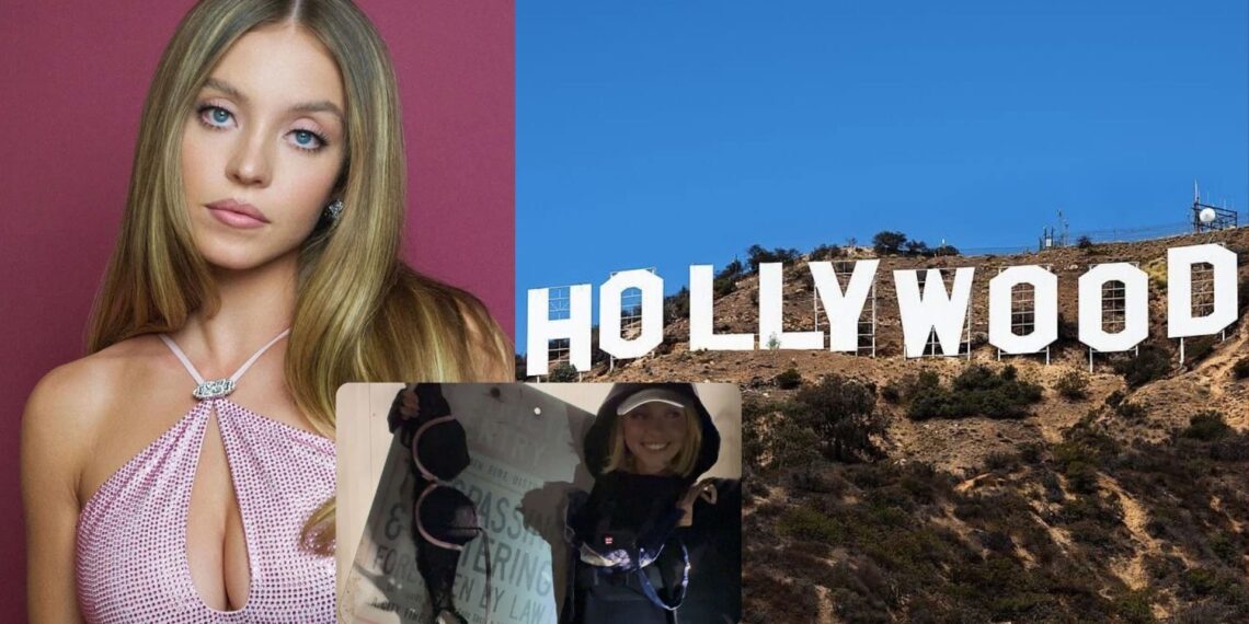 Sydney Sweeney podría enfrentar cargos tras colgar sostenes en el cartel de Hollywood