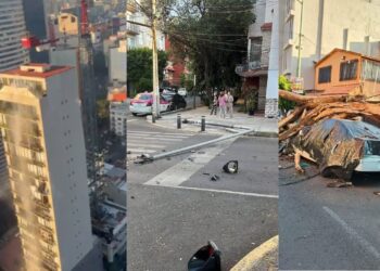 sismo CDMX