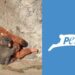 PETA pide que el mono viral Punch sea trasladado a un santuario por su bienestar