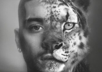 Zayn Malik anuncia su quinto álbum de estudio