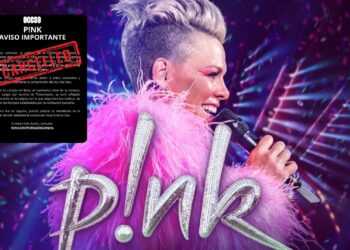 Pink cancela sus conciertos en México y decepciona a sus fans