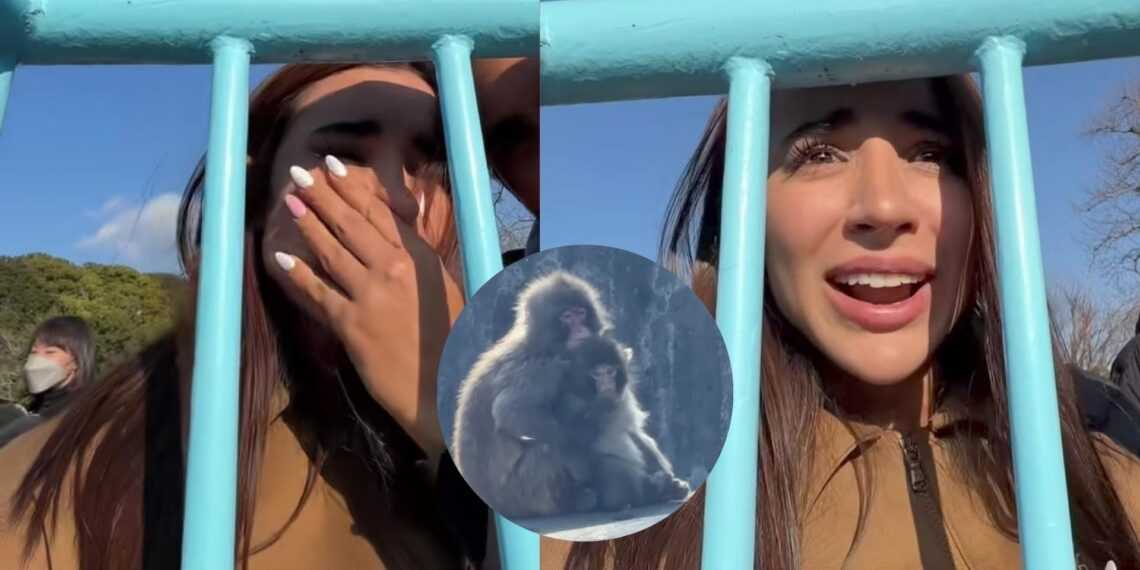Tammy Parra llora tras visitar al mono “Punch” y desata críticas en redes sociales