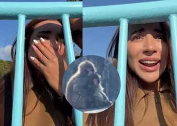 Tammy Parra llora tras visitar al mono “Punch” y desata críticas en redes sociales