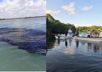 Derrame Golfo de México