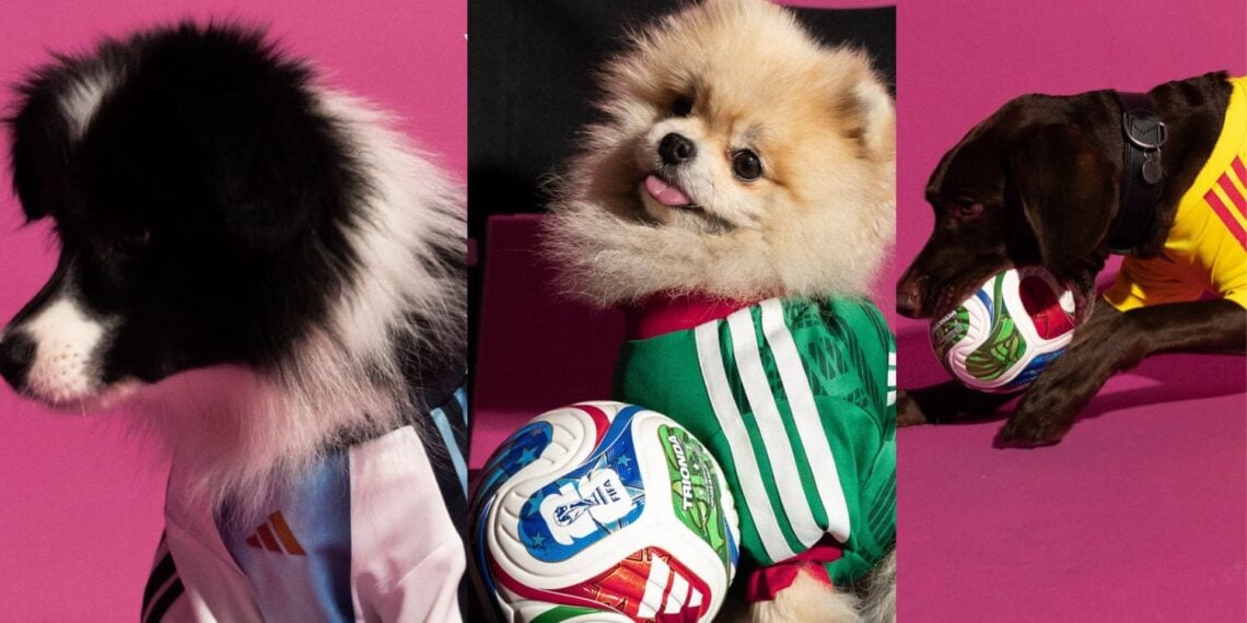 Adidas lanza jerseys mundialistas… ¡para perros! Así es la nueva colección