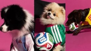 Adidas lanza jerseys mundialistas… ¡para perros! Así es la nueva colección