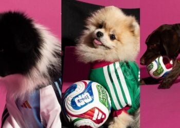 Adidas lanza jerseys mundialistas… ¡para perros! Así es la nueva colección