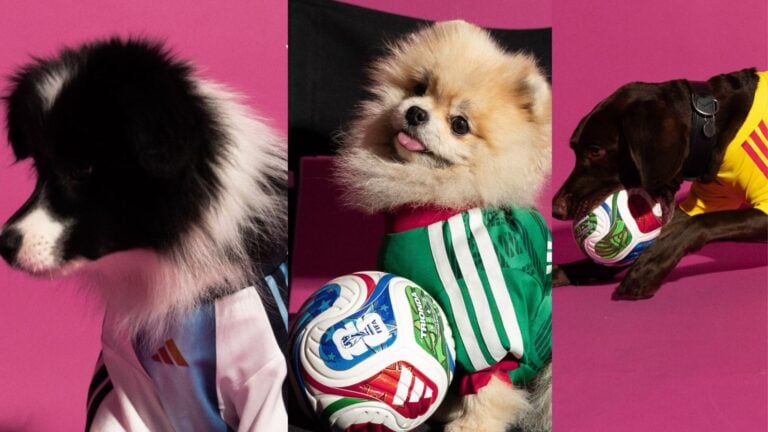 Adidas lanza jerseys mundialistas… ¡para perros! Así es la nueva colección