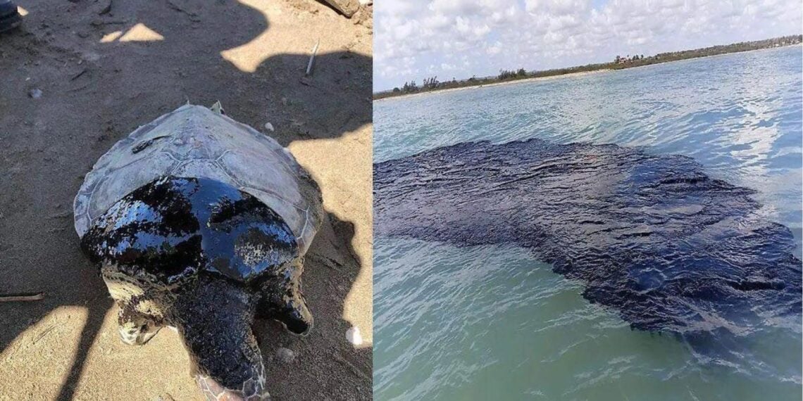 Derrame en el Golfo de México