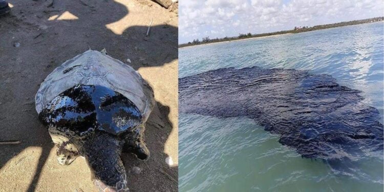 Derrame en el Golfo de México