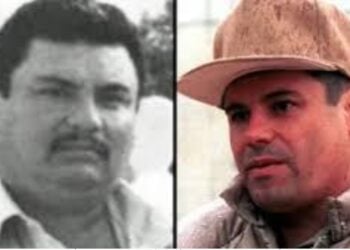 Aureliano Guzmán Loera, El Guano