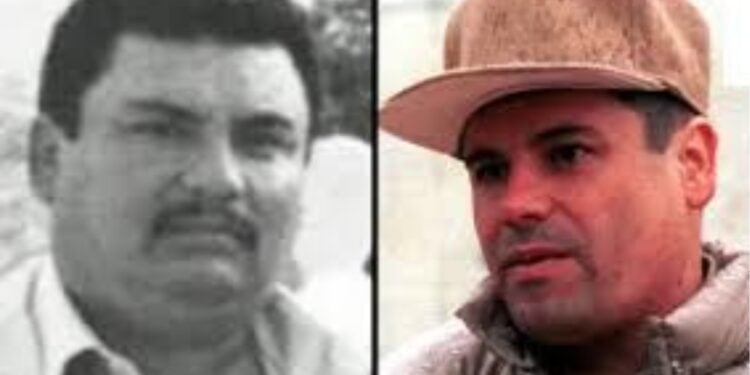 Aureliano Guzmán Loera, El Guano