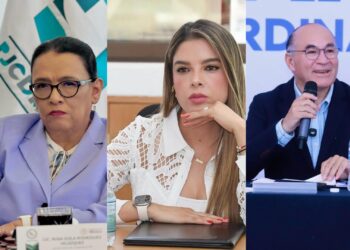 Rubrum Elecciones San Luis Potosí