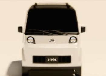 Olinia