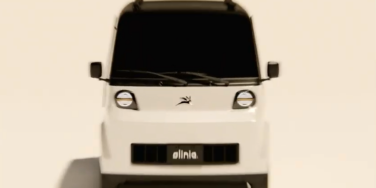 Olinia
