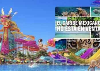 Mexicanos recolectan más de 3 millones de firmas contra parque de Royal Caribbean en Mahahual