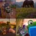 Woody, Buzz y Jessie contra las pantallas: conoce el tráiler final de Toy Story 5