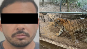 Cateos Semar en NL