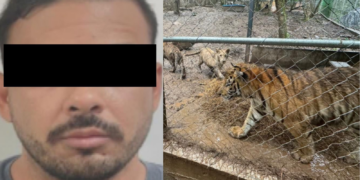Cateos Semar en NL
