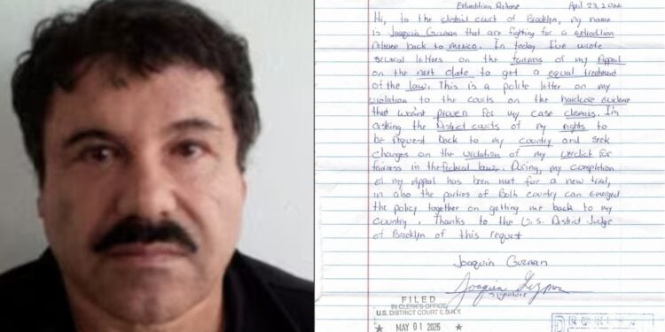 chapo guzmán