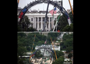 UFC