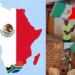 ¿Por qué los países africanos apoyaron a México? El rechazo a la desigualdad en Sudáfrica