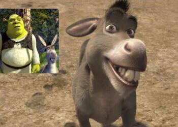 ¡“Burro” tendrá su propia película! Universal y DreamWorks preparan el spin-off de Shrek para 2028