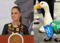 Claudia Sheinbaum invita al famoso Pato Merlín a la mañanera tras convertirse en fenómeno del Mundial 2026