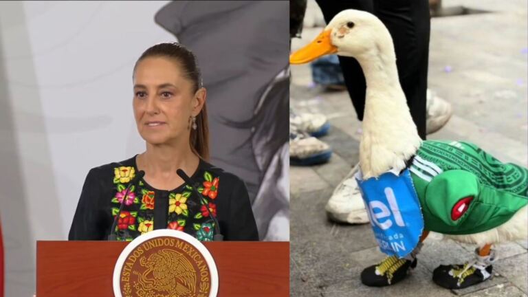 Claudia Sheinbaum invita al famoso Pato Merlín a la mañanera tras convertirse en fenómeno del Mundial 2026