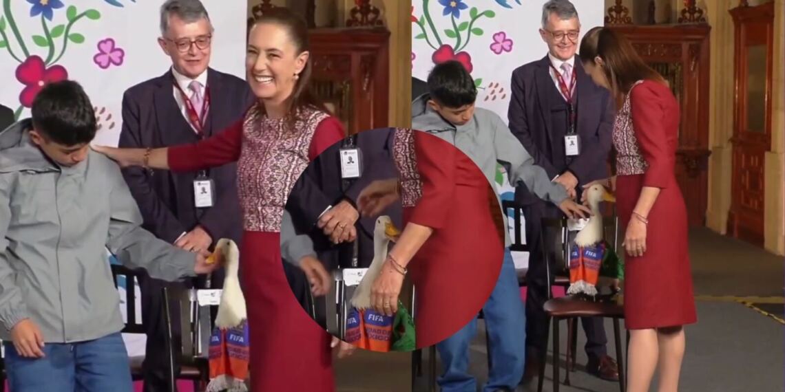 El momento chusco del Pato Merlín con Claudia Sheinbaum en la Mañanera