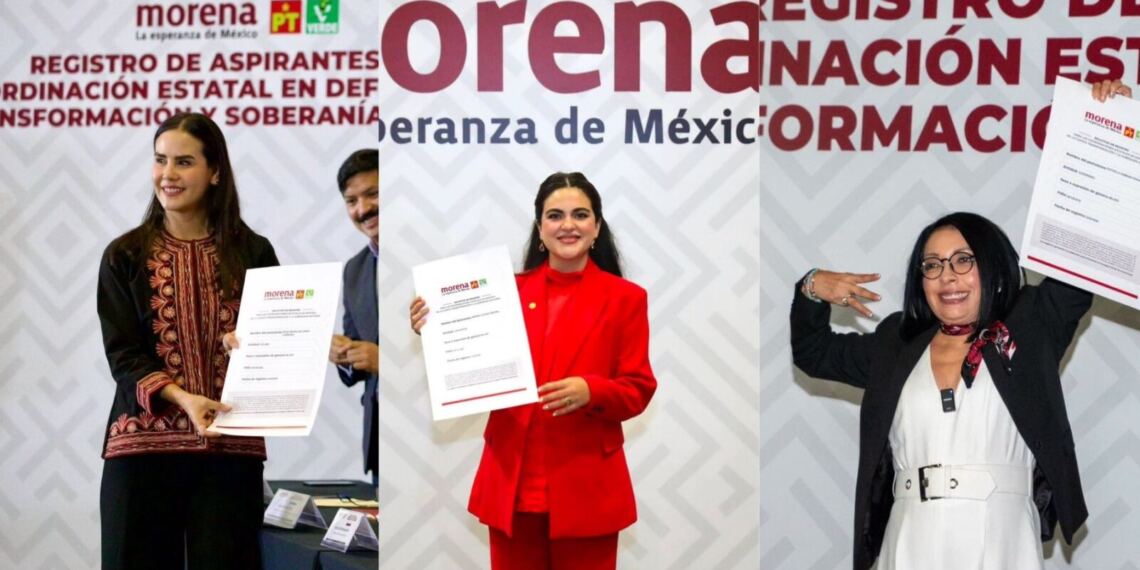 Registros Morena