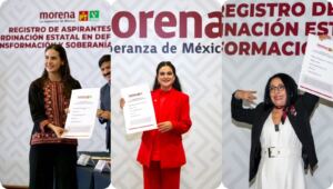 Registros Morena