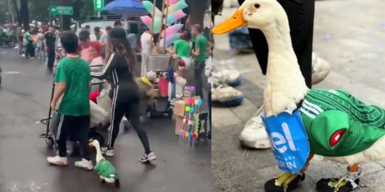 Viral: el pato con camiseta de la Selección que conquistó las redes