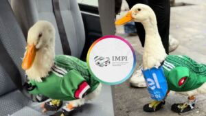 IMPI pone fin a la disputa: la marca “Pato Merlín” es de la familia de Carla Ivette Gómez