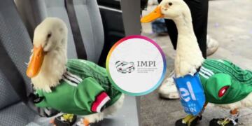 IMPI pone fin a la disputa: la marca “Pato Merlín” es de la familia de Carla Ivette Gómez
