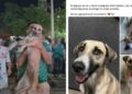 Perrita desaparecida reaparece en pleno festejo por el triunfo de México