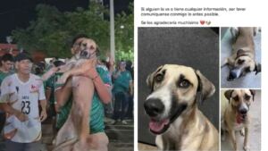 Perrita desaparecida reaparece en pleno festejo por el triunfo de México