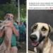 Perrita desaparecida reaparece en pleno festejo por el triunfo de México