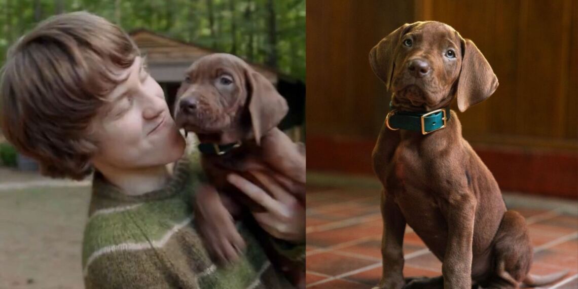Netflix revela el primer vistazo al nuevo live action de Scooby-Doo