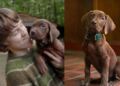 Netflix revela el primer vistazo al nuevo live action de Scooby-Doo