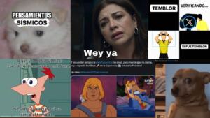 Sismo con epicentro en Guerrero sin alerta: los mejores memes en redes sociales