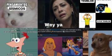 Sismo con epicentro en Guerrero sin alerta: los mejores memes en redes sociales