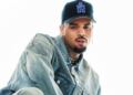 Chris Brown es declarado responsable por ataque de su perro a su ex ama de llaves