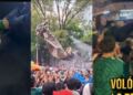Festejo de México