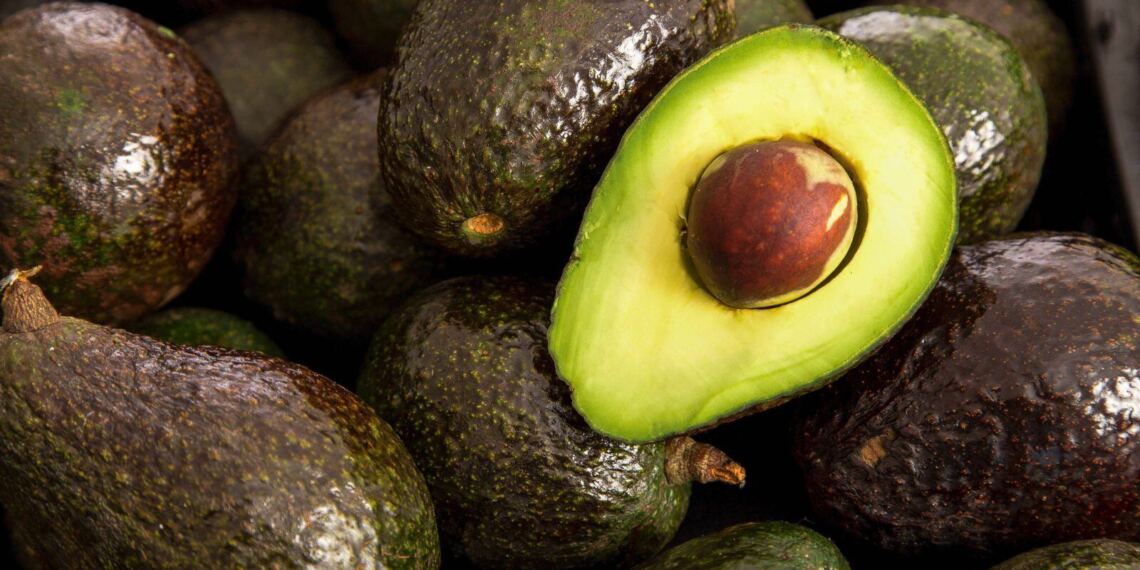 Aguacate