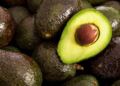 Aguacate