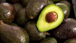 Aguacate
