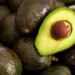 Aguacate